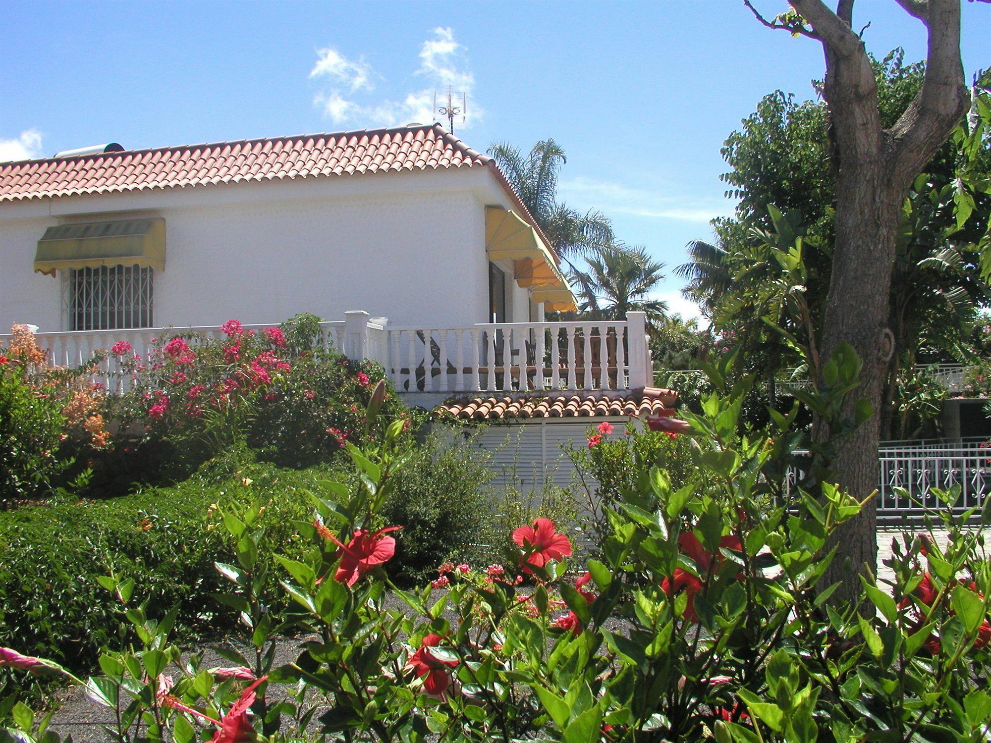 Todoque Residencial Las Norias المظهر الخارجي الصورة
